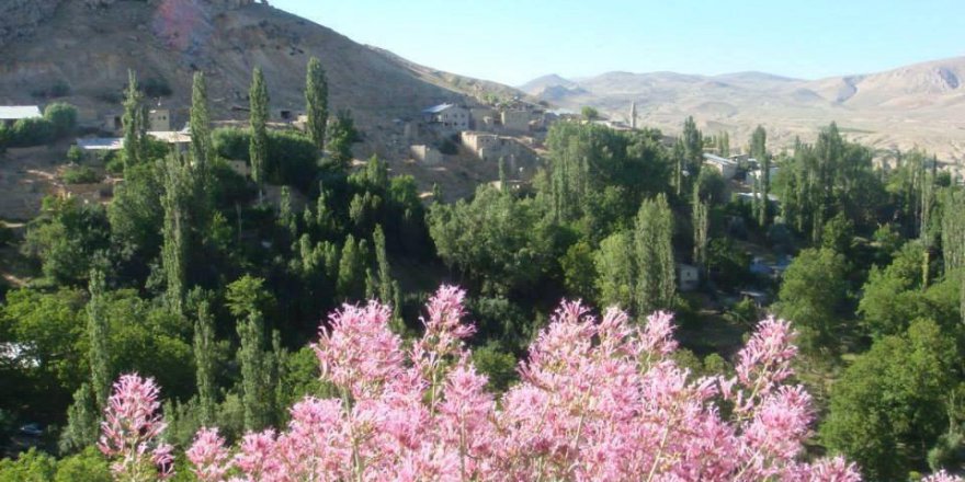 Gürün Bahçeiçi Köyü Resimleri