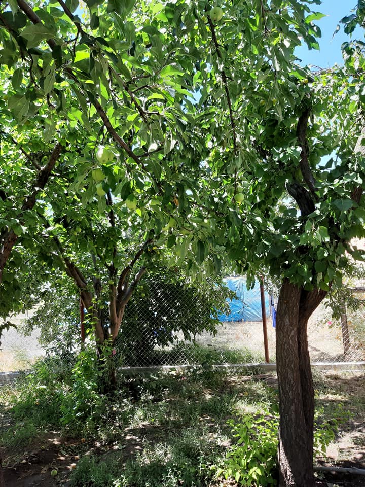 Tercan Çatakdere Köyü Resimleri 3