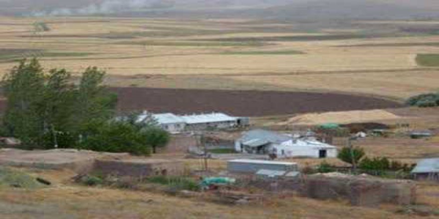 Tercan Çatakdere Köyü Resimleri