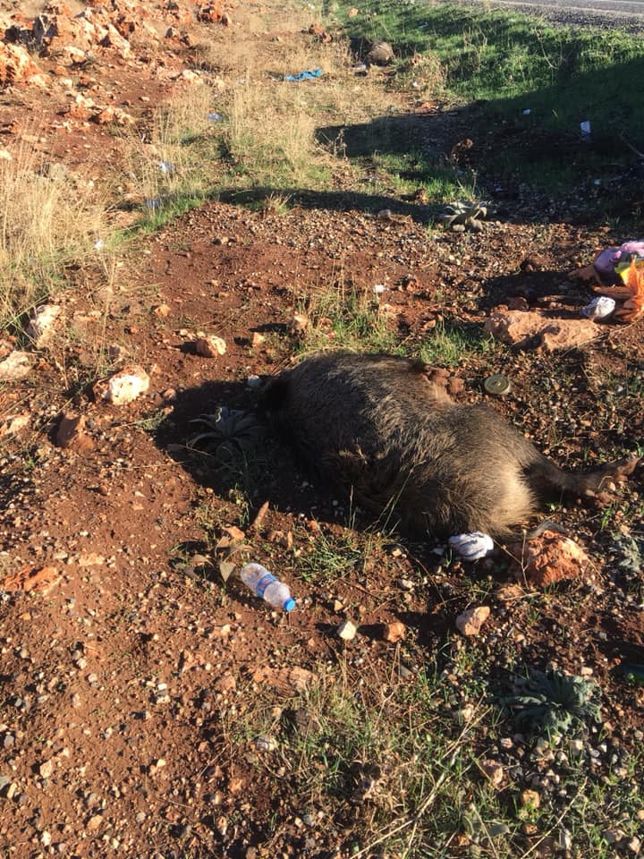 Ergani Karpuzlu Köyü Resimleri 4