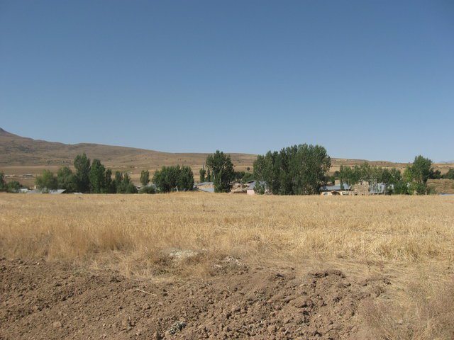 Tercan Dallıca Köyü Resimleri 1