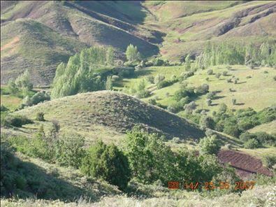 Refahiye Doluca Köyü Resimleri 3