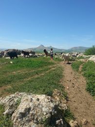 Ergani Karşibağlar Köyü Resimleri 4