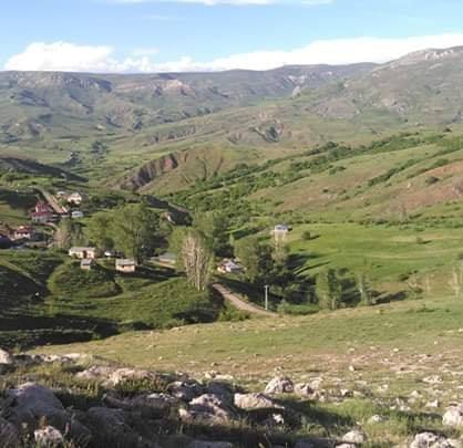 Tercan Fındıklı Köyü Resimleri 1