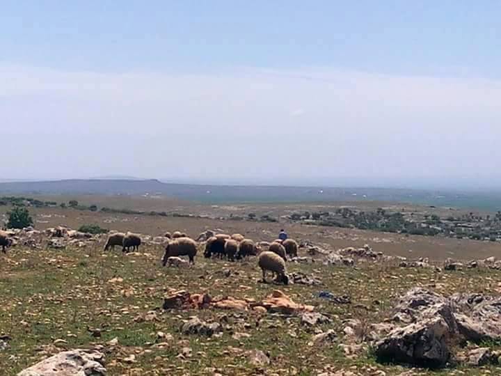 Ergani Morkoyun Köyü Resimleri 3