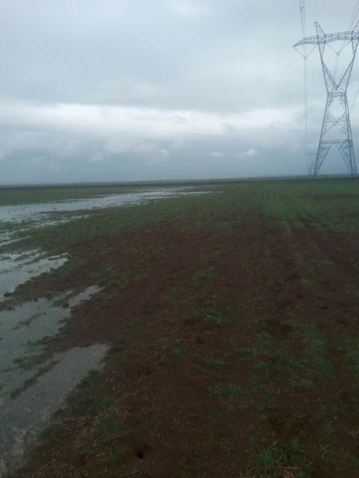 Ergani Olgun Köyü Resimleri 2