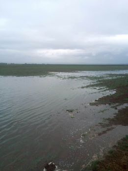 Ergani Olgun Köyü Resimleri 3