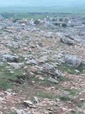 Ergani Özbilek Köyü Resimleri 6