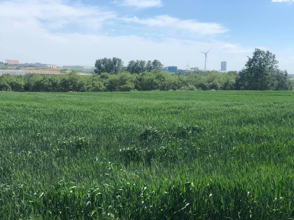 Kofçaz Elmacık  Köyü Resimleri 3