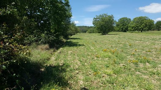 Kofçaz Elmacık  Köyü Resimleri 9