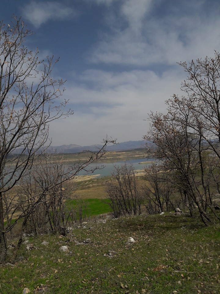 Ergani Söğütalan Köyü Resimleri 3