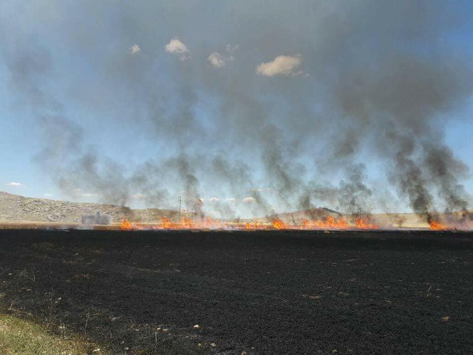 Ergani Sökündüzü Köyü Resimleri 3