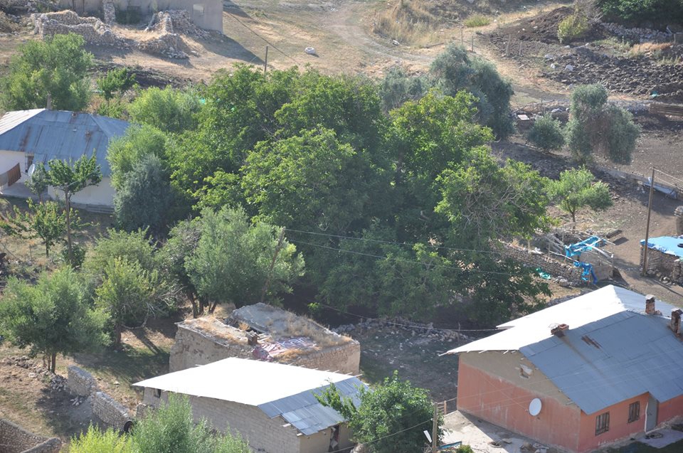 Gürün Böğrüdelik Köyü Resimleri 38