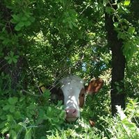 Ergani Yolbulan Köyü Resimleri 17