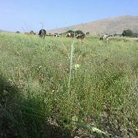 Ergani Yolbulan Köyü Resimleri 19