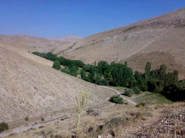 Gürün Camiliyurt Köyü Resimleri 4