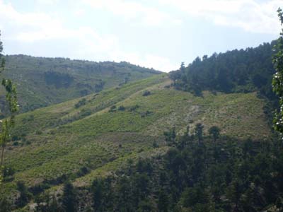 Adana Saimbeyli Gökmenler Köyü Resimleri 31