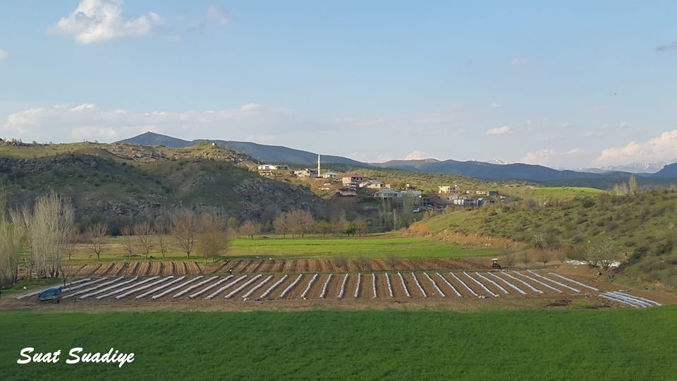 Hani Kaledibi Köyü Resimleri 3