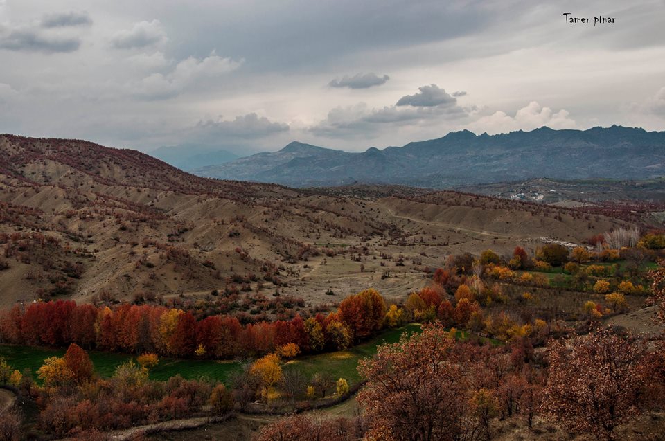 Hani Topçular Köyü Resimleri 8