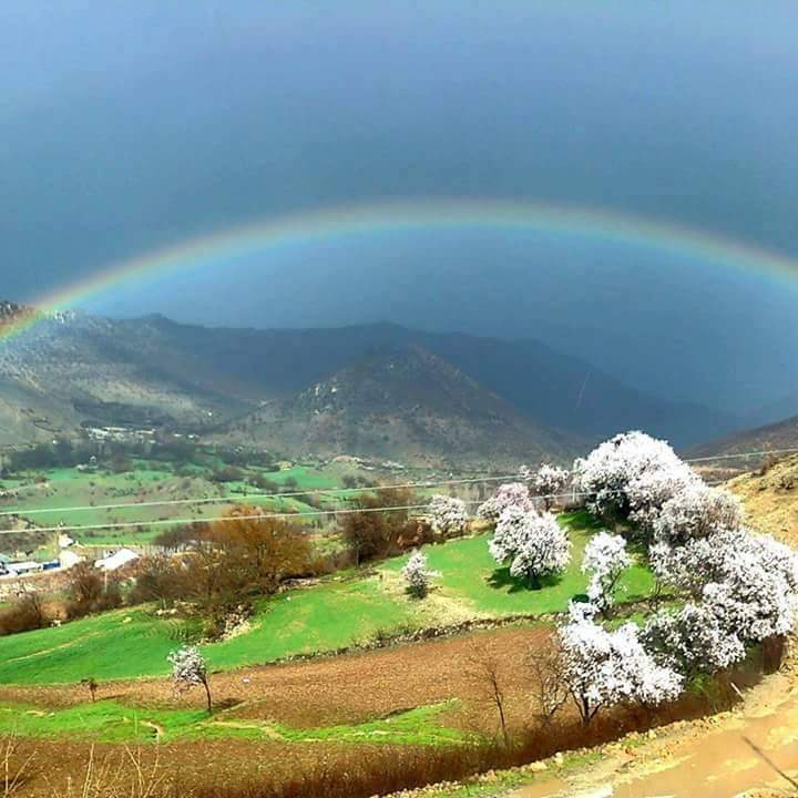 Hani Topçular Köyü Resimleri 9