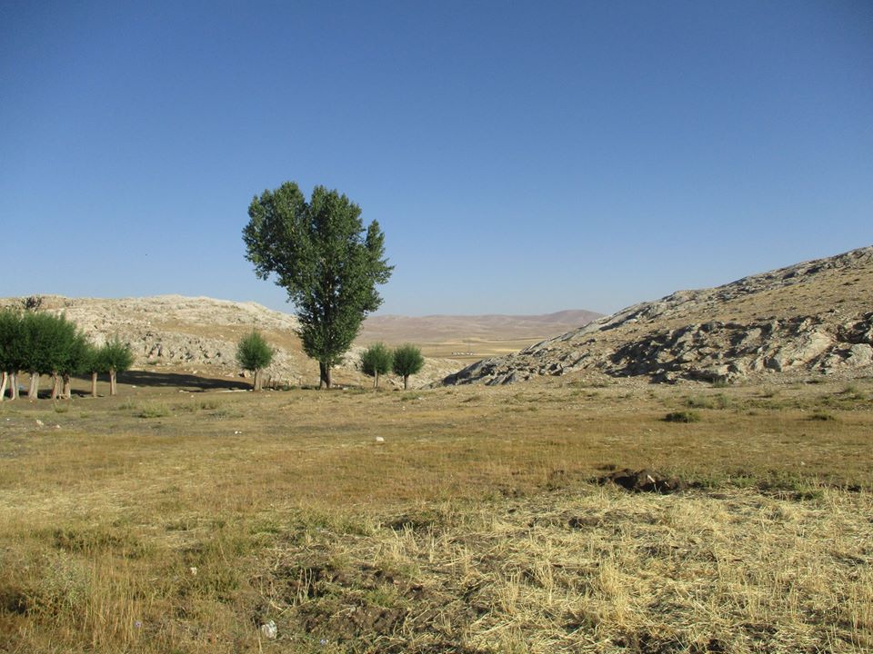 Gürün Çamlıca Köyü Resimleri 9