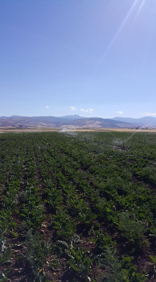 Tercan Gökçe Köyü Resimleri 10