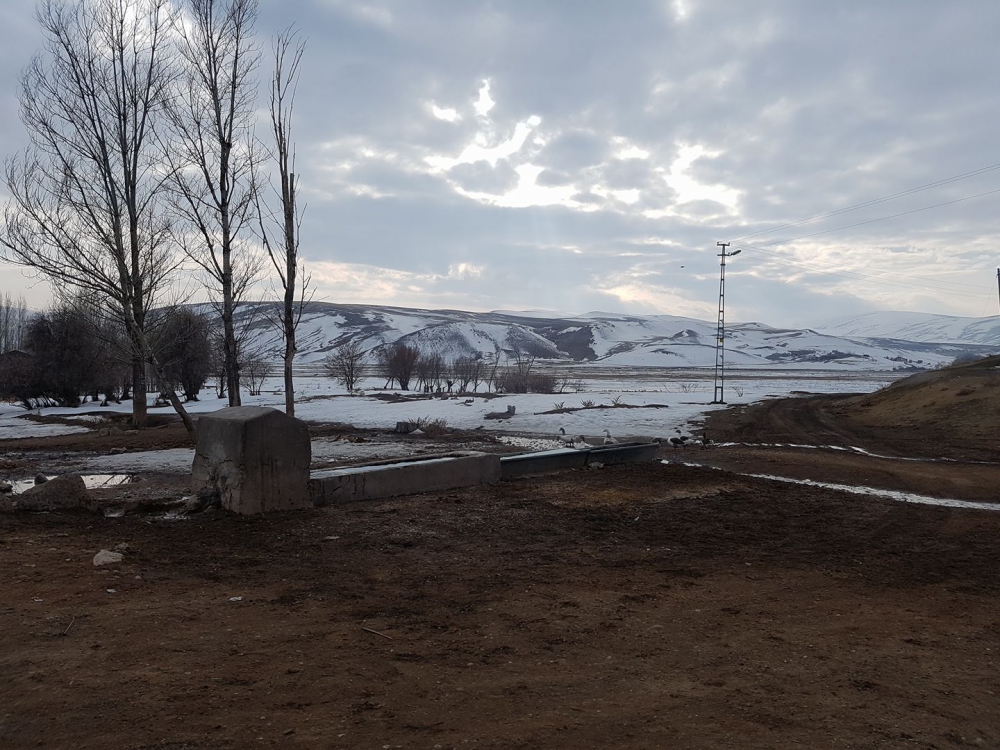 Tercan Gökçe Köyü Resimleri 12