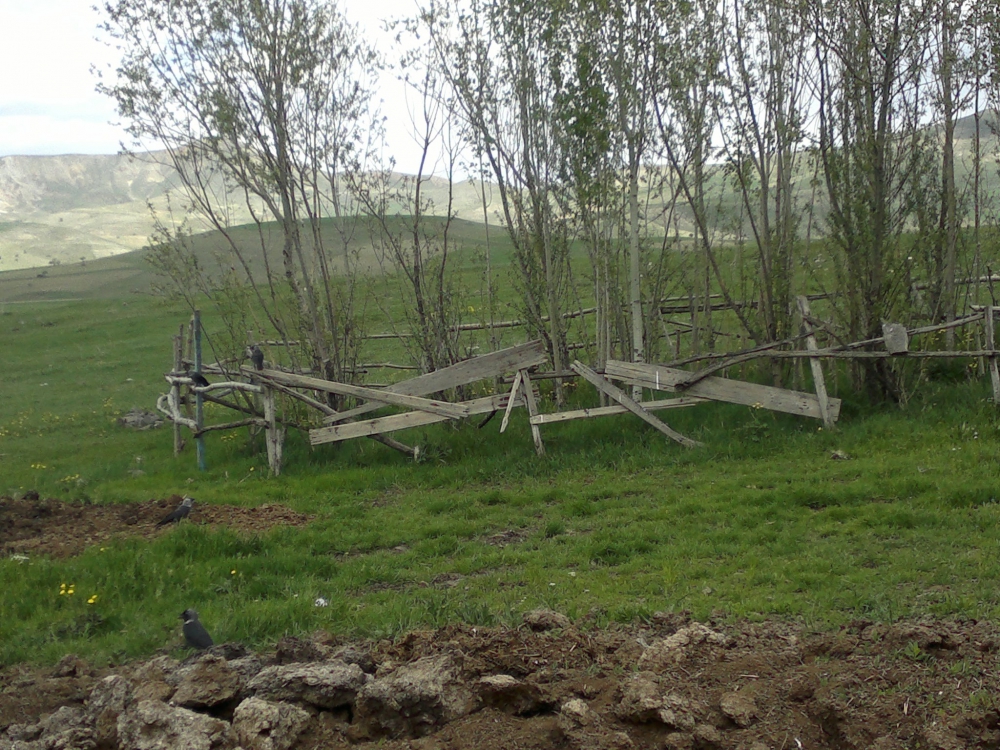 Tercan Göktaş Köyü Resimleri 11