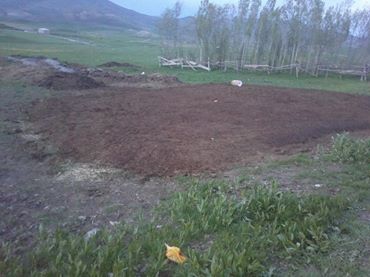 Tercan Göktaş Köyü Resimleri 3