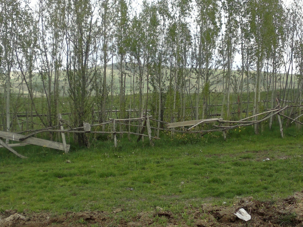 Tercan Göktaş Köyü Resimleri 4