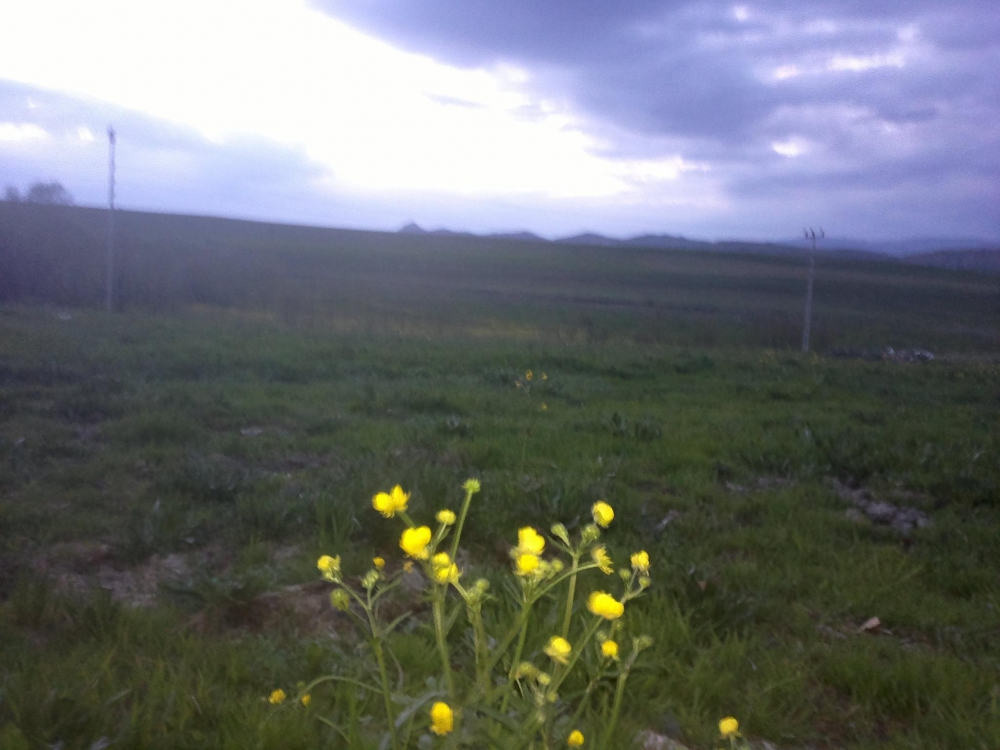 Tercan Göktaş Köyü Resimleri 8