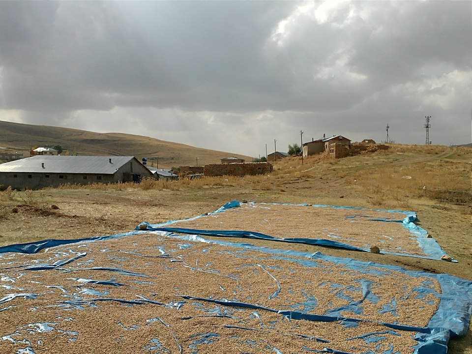 Gürün Çevirme Köyü Resimleri 3