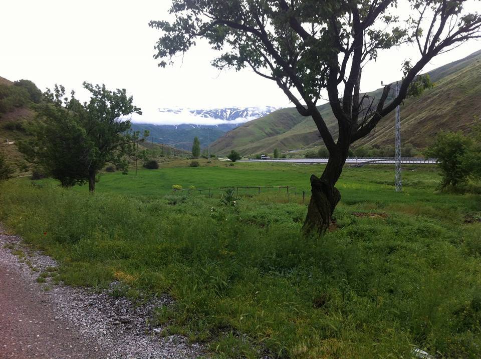 Tercan İkizler Köyü Resimleri 1