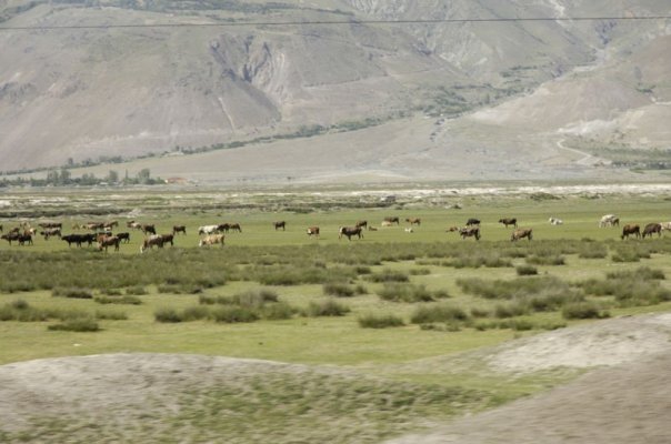 Tercan Kalecik Köyü Resimleri 1