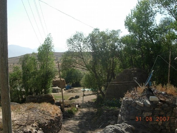 Tercan Kalecik Köyü Resimleri 11