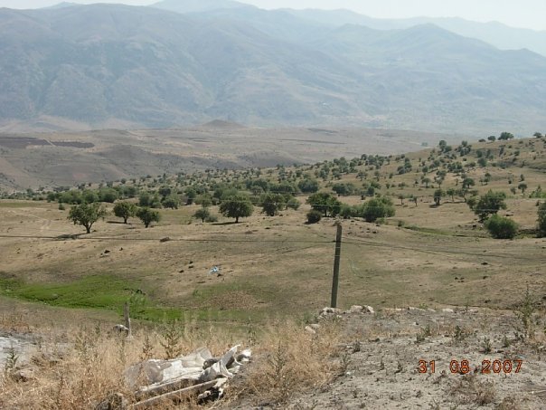 Tercan Kalecik Köyü Resimleri 17