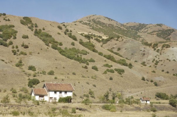 Tercan Kalecik Köyü Resimleri 7