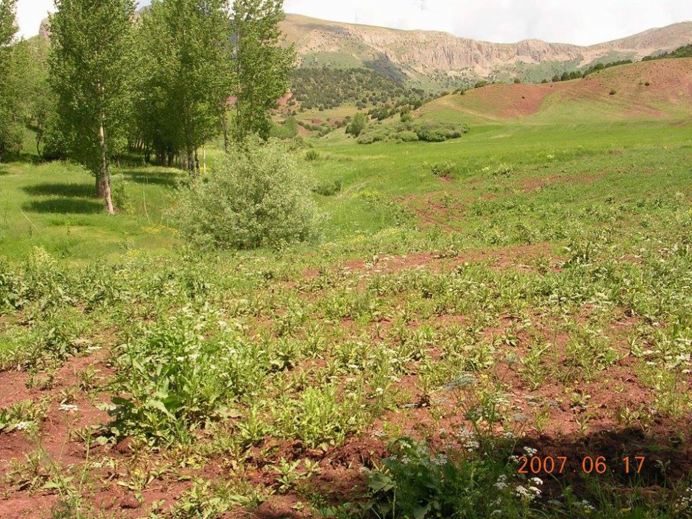Tercan Karacakışlak Köyü Resimleri 4
