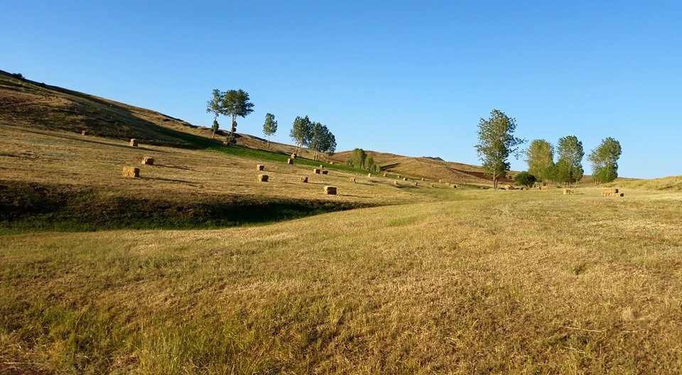 Tercan Karacaören Köyü Resimleri 1
