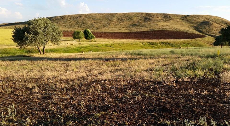 Tercan Karacaören Köyü Resimleri 10