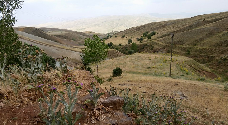 Tercan Karacaören Köyü Resimleri 11