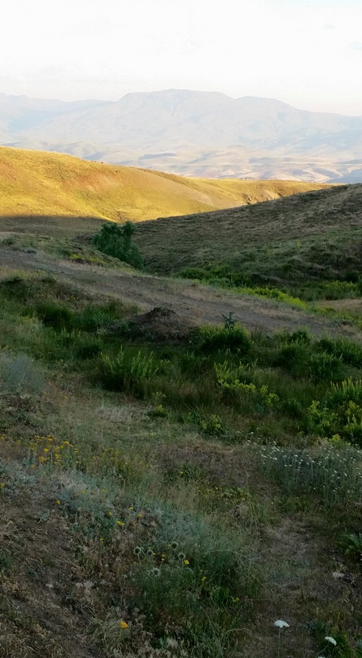 Tercan Karacaören Köyü Resimleri 15