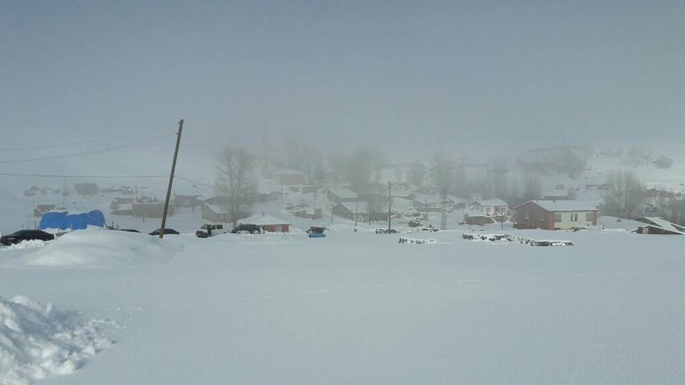 Tercan Karacaören Köyü Resimleri 2