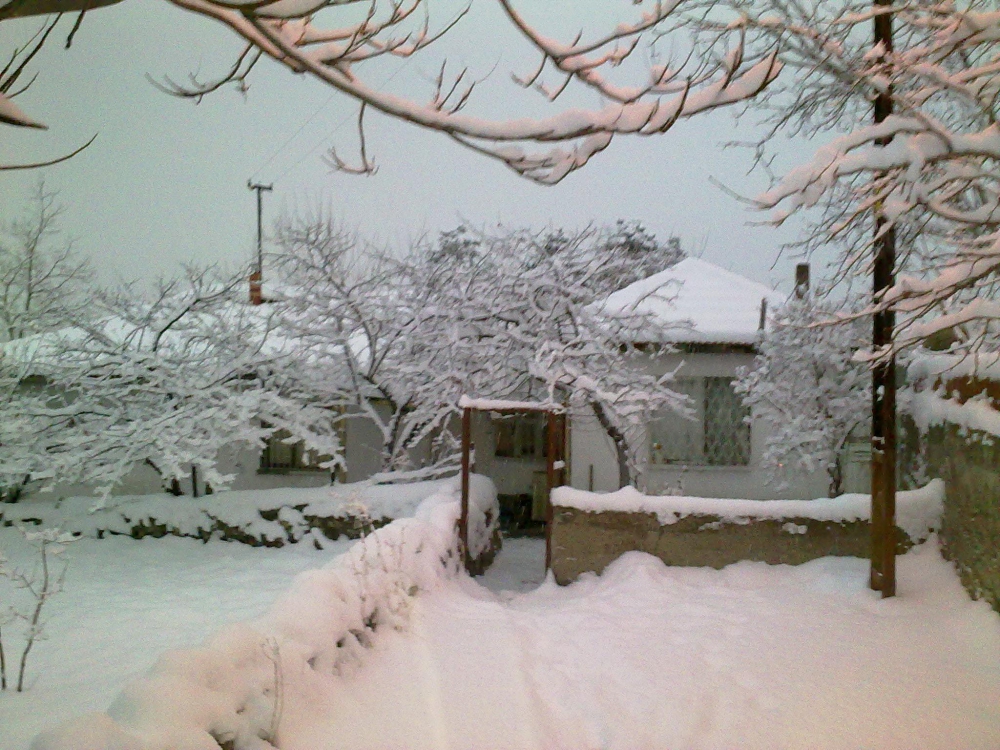 Tercan Karacaören Köyü Resimleri 20