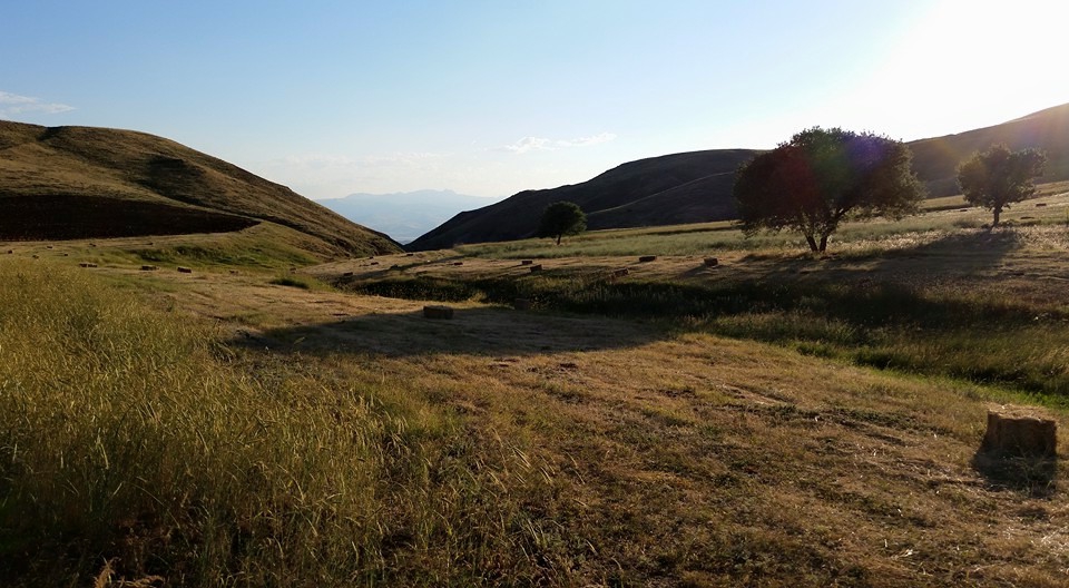 Tercan Karacaören Köyü Resimleri 5
