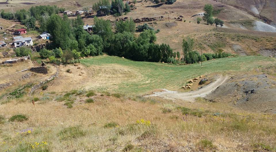 Tercan Karacaören Köyü Resimleri 7