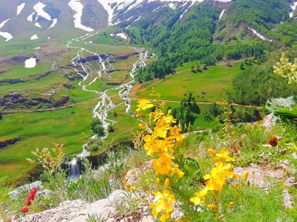 Tercan Konarlı Köyü Resimleri 11