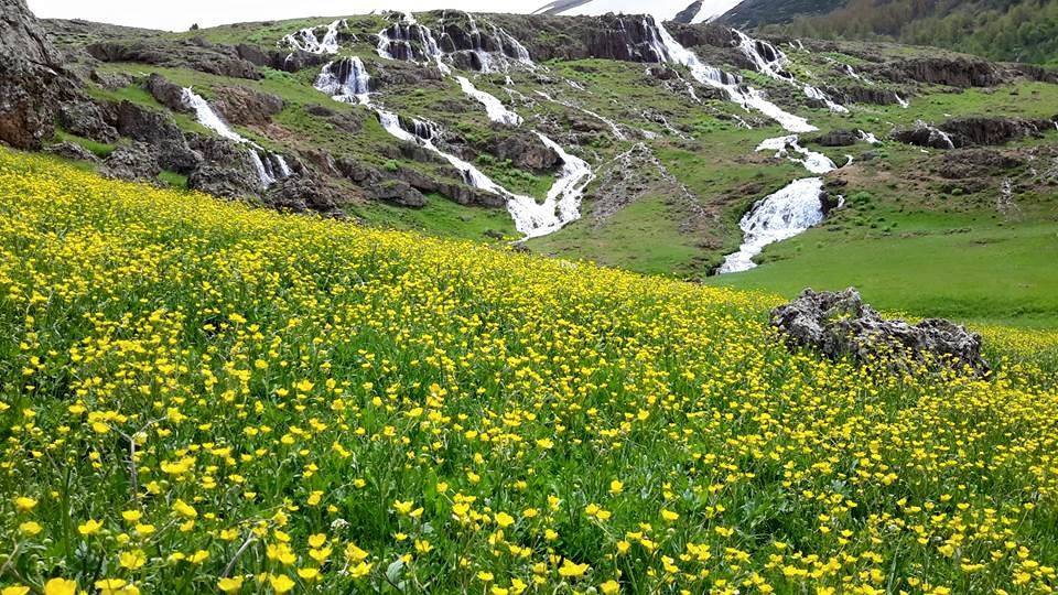 Tercan Konarlı Köyü Resimleri 2