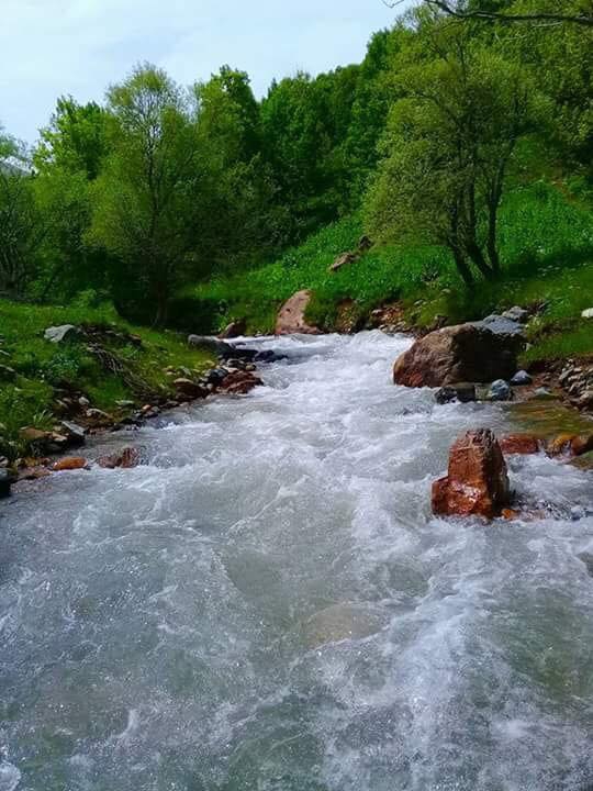 Tercan Konarlı Köyü Resimleri 4
