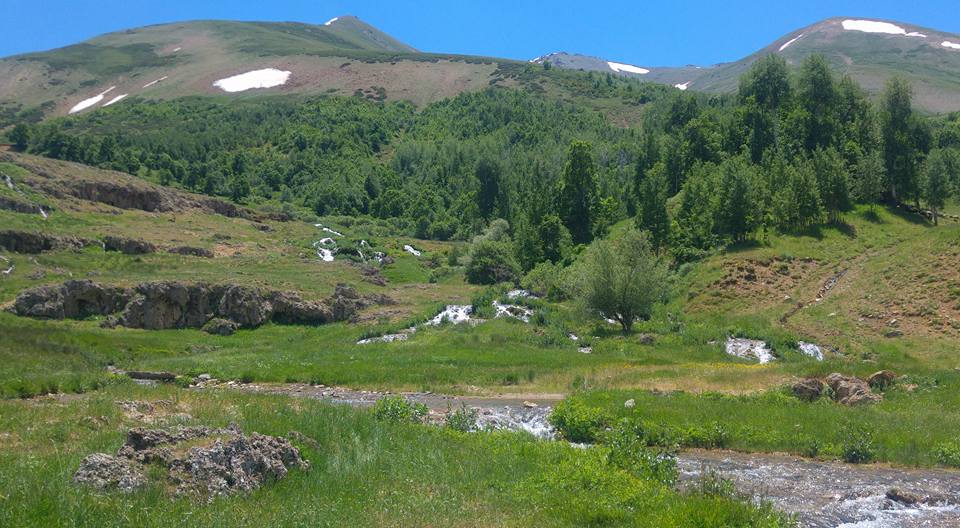 Tercan Konarlı Köyü Resimleri 5